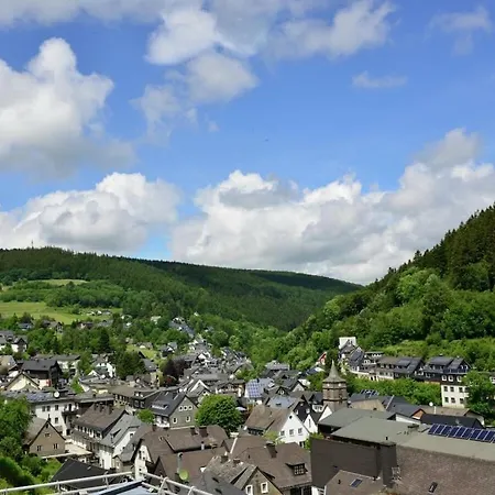 Ferienhaus 1 Bedroom Willingen (Upland)